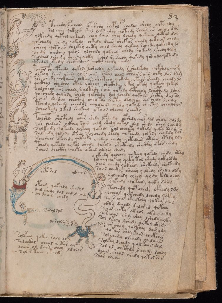 voynich manuscript decoded